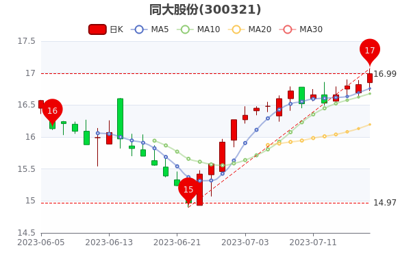 《同大股份7月18日股票市盈率132.53》