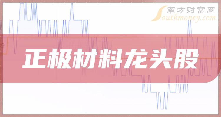 《正极材料龙头股前五》