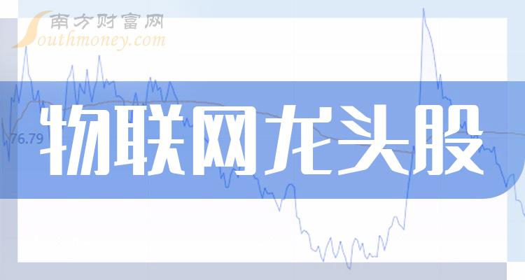 《中国物联网龙头公司》