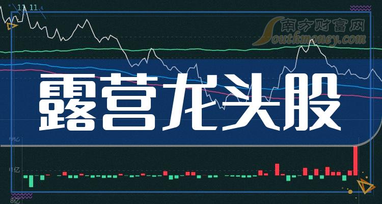 《露营龙头股票一览》