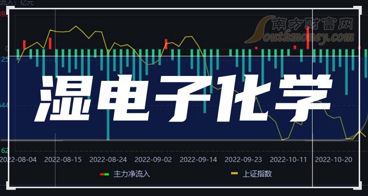 《2023年湿电子化学龙头股是哪只股》 《2023年湿电子化学龙头股是哪只股》