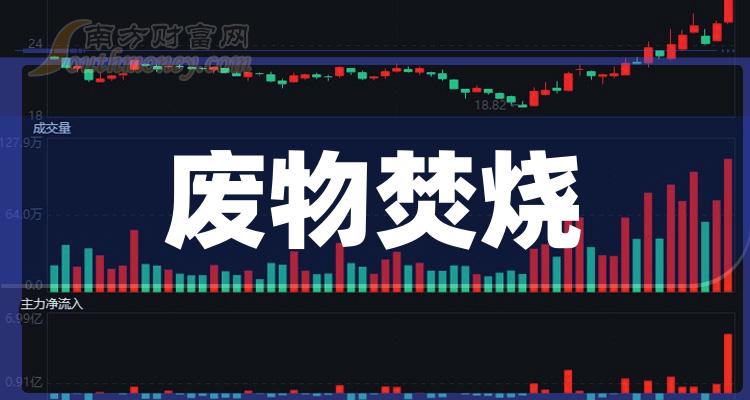 《废物焚烧概念股有哪些上市公司》
