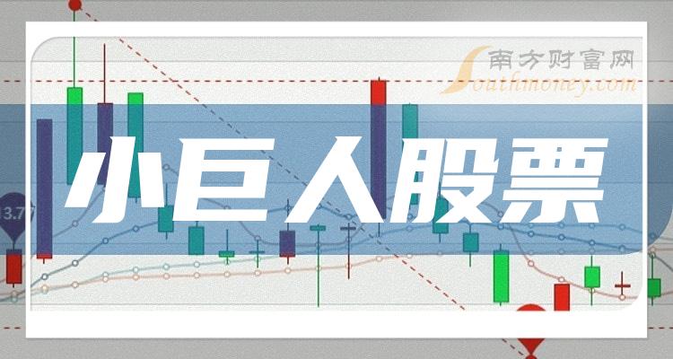 《榜单：7月28日小巨人股票市值排名前十名》