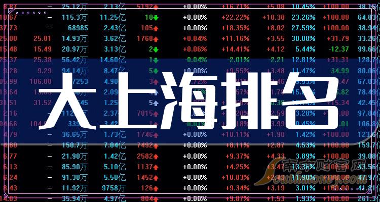 《大上海排名靠前的相关公司有哪些》