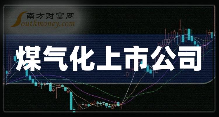 ��ú��������ǰʮ�����й�˾����Щ��