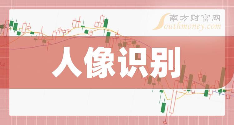 《人像识别龙头股有哪些股票》