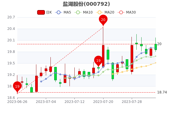 《盐湖股份8月4日报19.85元》