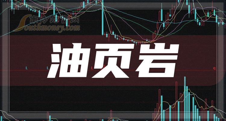 《油页岩企业排名前十名》