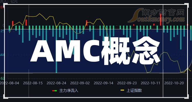 《AMC概念上市公司十强》