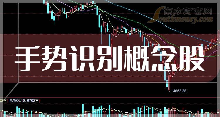 《手势识别龙头股名单》