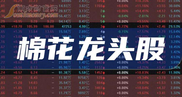 《棉花龙头股票一览2023》