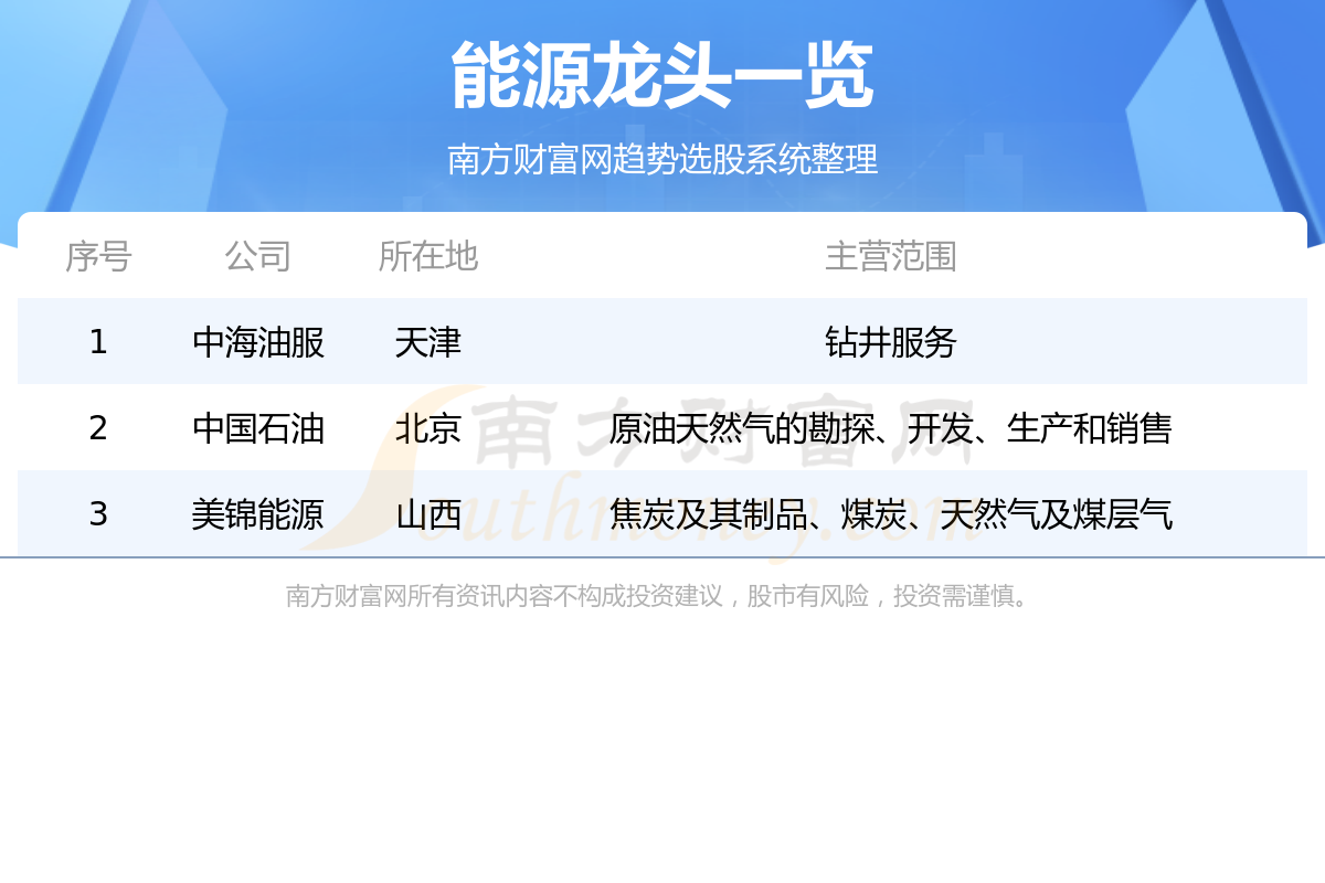 《能源龙头公司》
