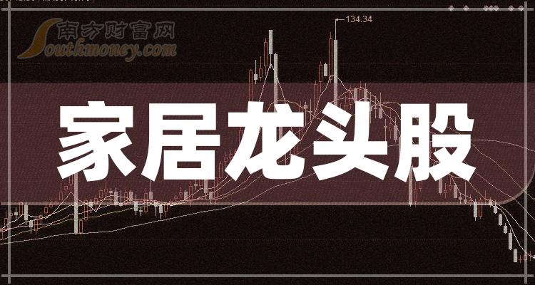 《家居龙头股一览》