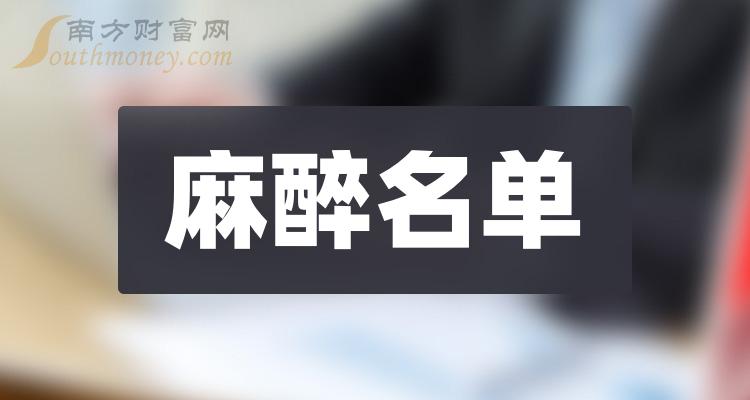 ��2023�������������������