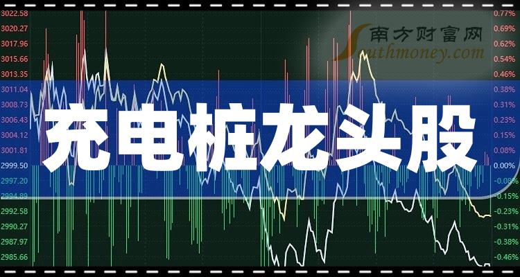 《有潜力的充电桩龙头股有哪些8/14》