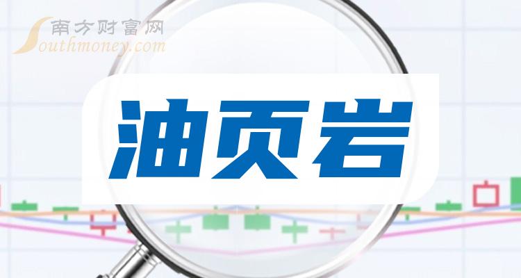《油页岩十大相关公司排名》