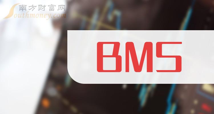 ��BMS����8��15�ձ�����