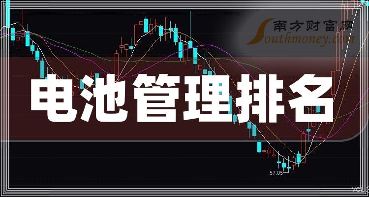 《电池管理排名前十名》