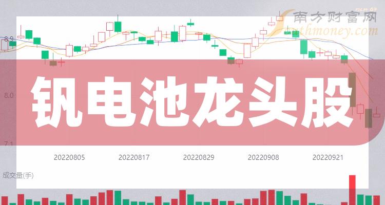《钒电池龙头企业名单》