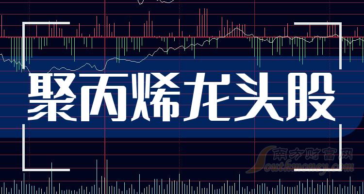 《聚丙烯有哪些龙头股5家聚丙烯企业股票龙头名单》