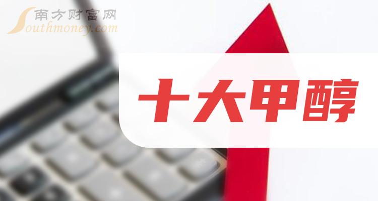 《甲醇十大公司排名》