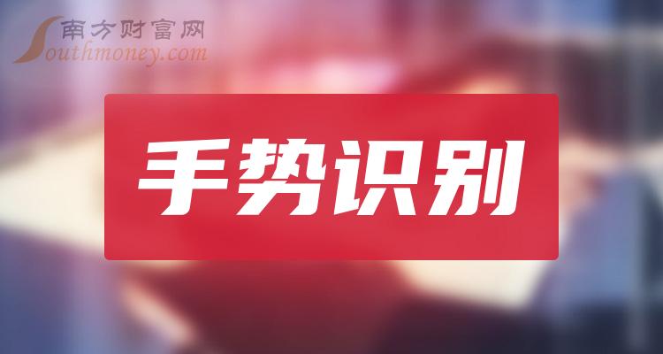 《手势识别龙头股一览表》