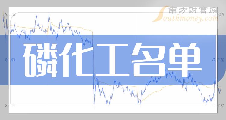 《有潜力的磷化工龙头股有哪些8/17》