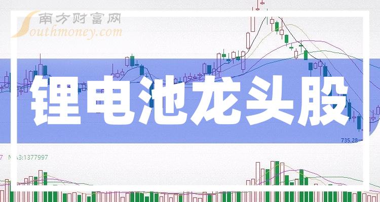 《锂电池龙头股一览》