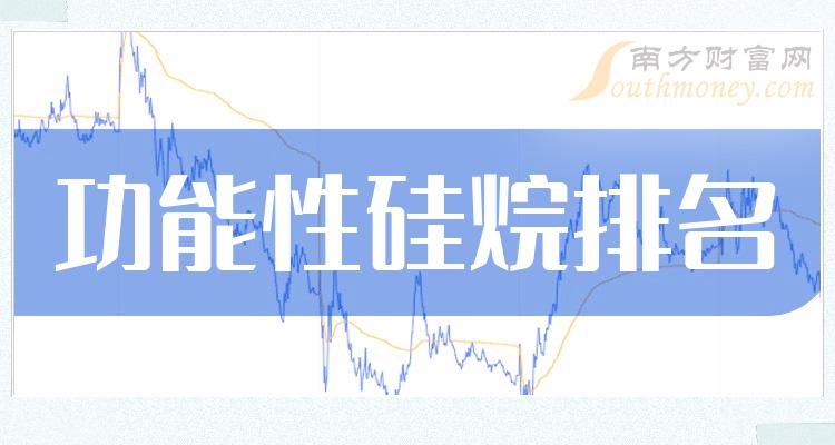 《功能性硅烷板块股票市盈率排名TOP10》