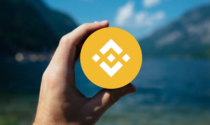 《BNB币发行价格是多少美元》