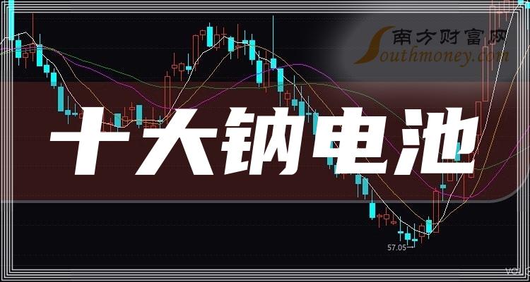 《钠电池十大公司排名》