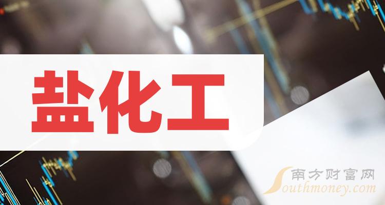 《盐化工相关公司哪家比较好》