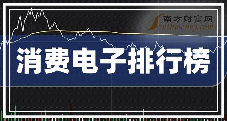 《消费电子十大公司排名》