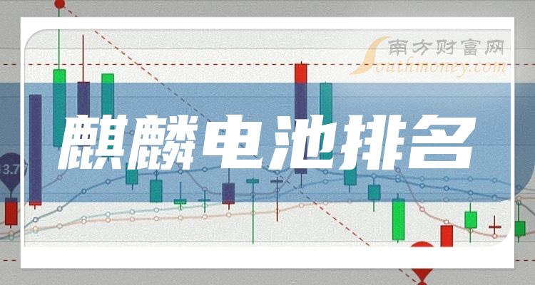 《中国十大麒麟电池企业排名8月25日》