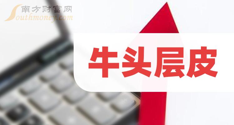 《牛头层皮股票概念有哪些》
