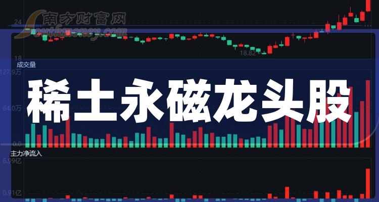 《稀土永磁龙头股前4》