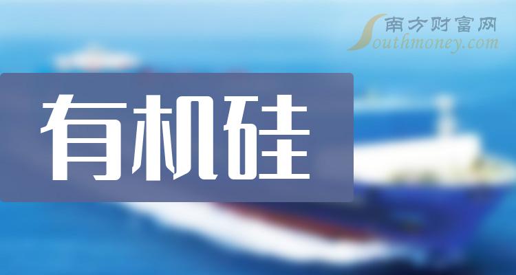 《创业板有机硅上市公司包括》