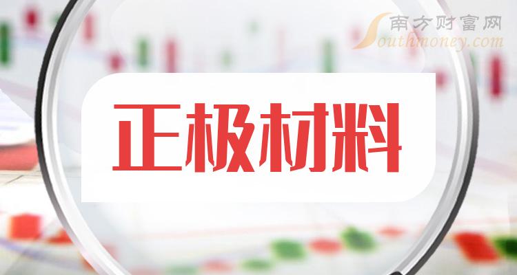 《创业板正极材料上市公司》