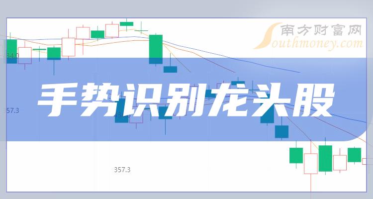 《手势识别龙头企业名单》