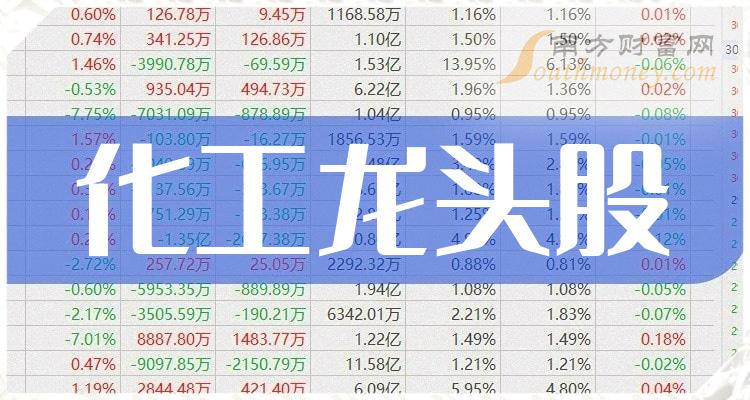 《中国化工龙头公司》