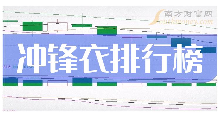 《冲锋衣公司十强二季度毛利润相关公司排行榜》