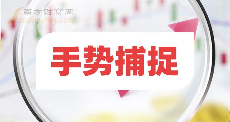 《手势捕捉概念上市公司有哪些》