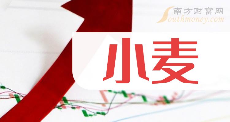 《小麦前十大上市公司市值》