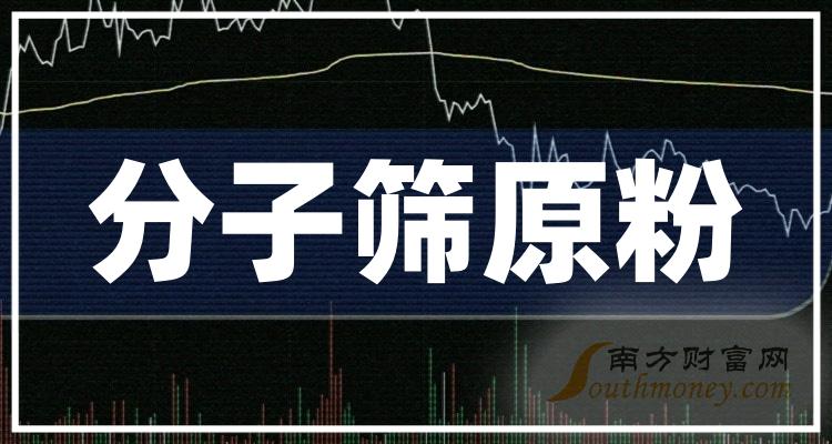 《分子筛原粉上市公司龙头股票有哪些》