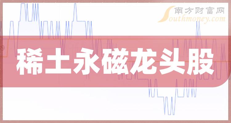 《中国稀土永磁龙头公司》