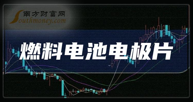 《2023年燃料电池电极片上市公司有哪些》