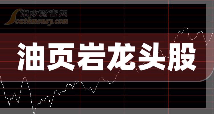 《3家油页岩龙头股名单》