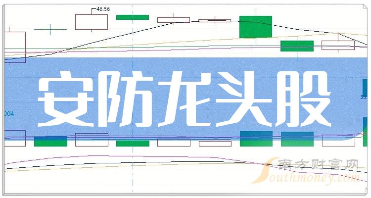 《安防龙头股有哪些3只值得关注的安防龙头股》