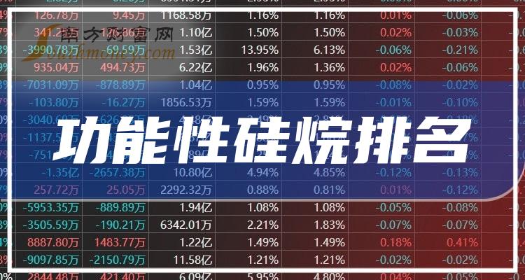 《二季度功能性硅烷概念上市公司毛利润前十排名》