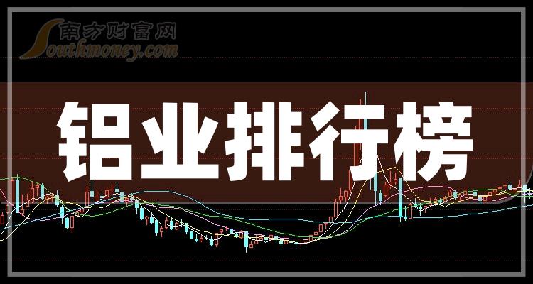 《十大铝业企业》